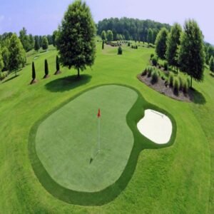 golf course turf-11