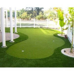 golf greens for backyard2